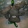 Gerus Gerus Avatar