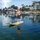 Tom Graney Avatar