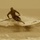 Skip Smith Avatar