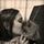 Luciana Faria Avatar