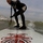 Frank Kesteloot Avatar