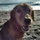 Peggy Leach Avatar