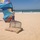 Waves4life Escola de Sup e Kitesurf Avatar