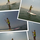 Elena P Avatar