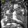 Consorzio Olivicoltori Malcesine Avatar