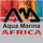 Aqua Marina AFRICA (Andrew Gaunt) Avatar