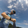 Andy No Avatar