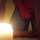 Myraline Suricate Avatar
