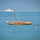 Kite N surf Dubai KiteNsurfdubai Avatar