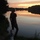 The Fox on a SUP M Avatar